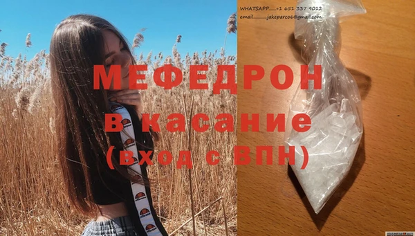 индика Белокуриха