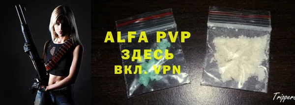 индика Белокуриха