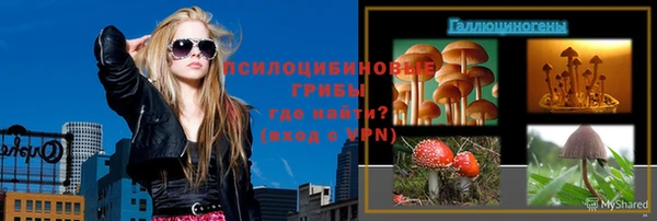 индика Белокуриха