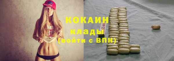 индика Белокуриха