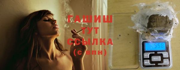 индика Белокуриха