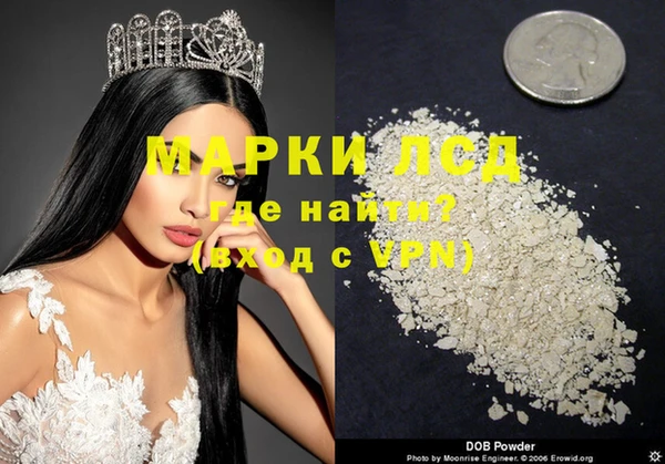 индика Белокуриха