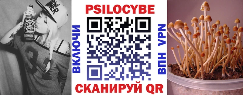 маркетплейс телеграм  Усмань  Псилоцибиновые грибы Psilocybine cubensis  где найти  